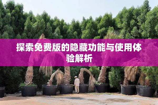 探索免费版的隐藏功能与使用体验解析