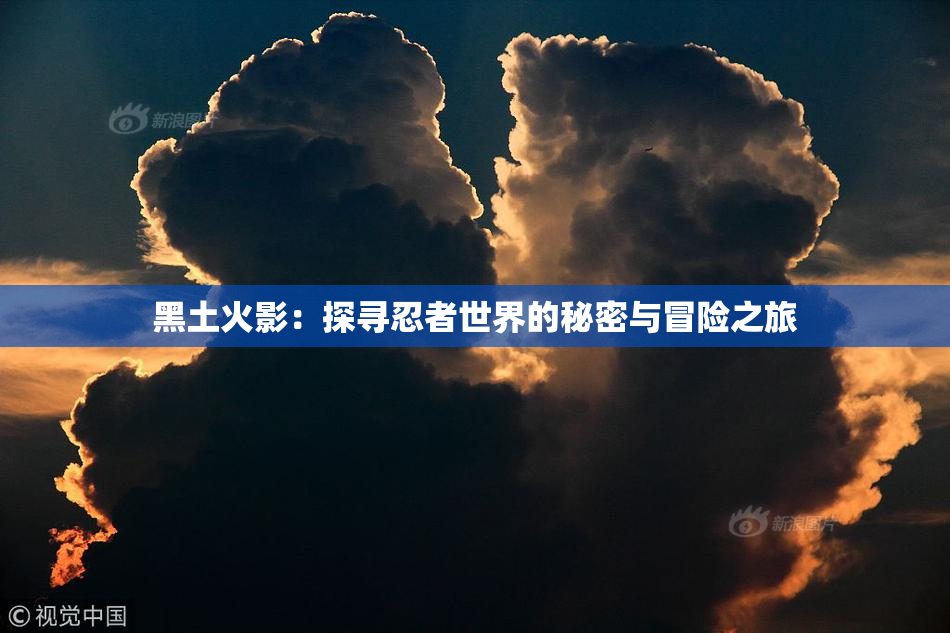 黑土火影：探寻忍者世界的秘密与冒险之旅