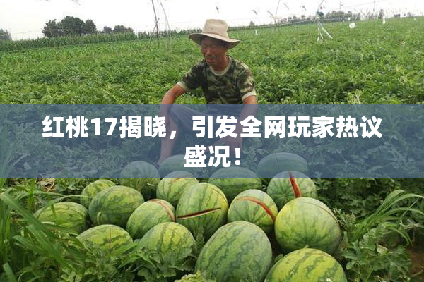 红桃17揭晓，引发全网玩家热议盛况！