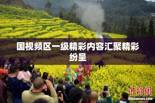 国视频区一级精彩内容汇聚精彩纷呈