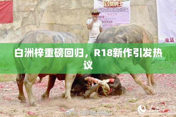 白洲梓重磅回归，R18新作引发热议