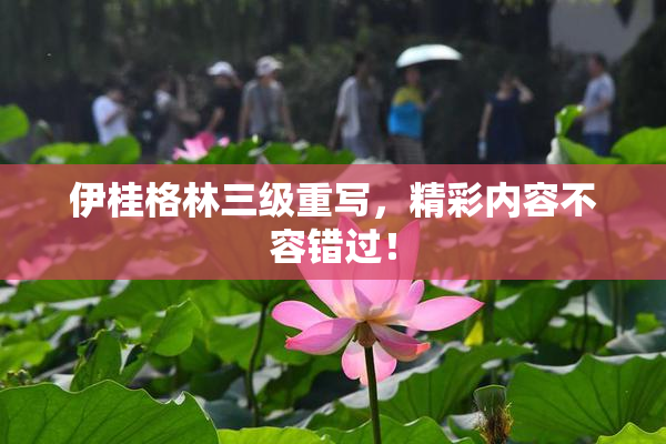 伊桂格林三级重写，精彩内容不容错过！