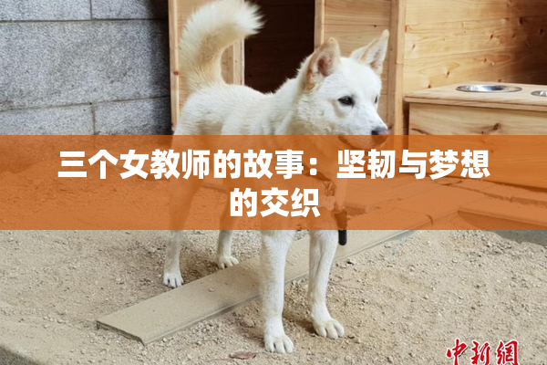三个女教师的故事：坚韧与梦想的交织