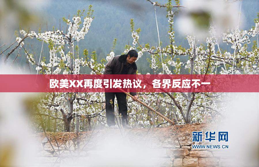 欧美XX再度引发热议，各界反应不一