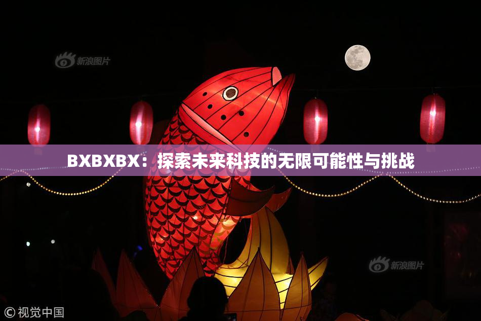 BXBXBX：探索未来科技的无限可能性与挑战