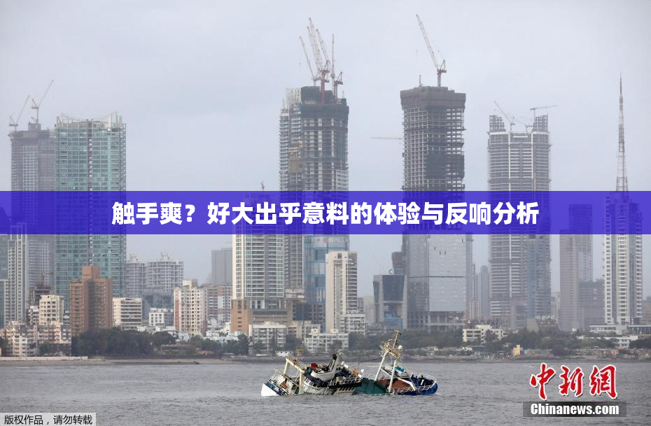 触手爽？好大出乎意料的体验与反响分析