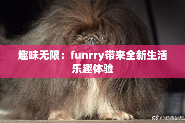 趣味无限：funrry带来全新生活乐趣体验