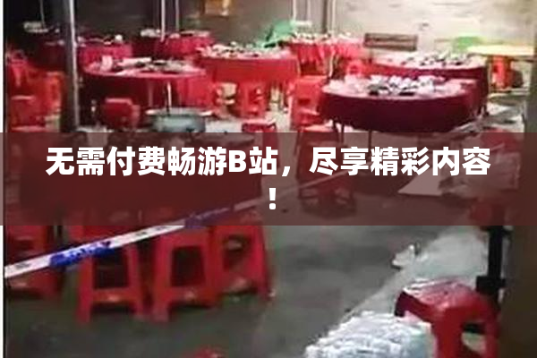 无需付费畅游B站，尽享精彩内容！