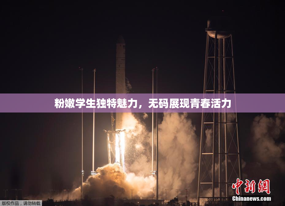 粉嫩学生独特魅力，无码展现青春活力