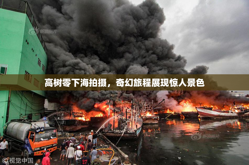 高树零下海拍摄，奇幻旅程展现惊人景色