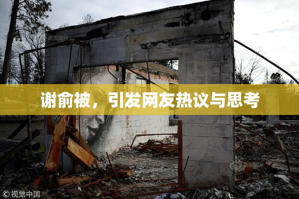 谢俞被，引发网友热议与思考