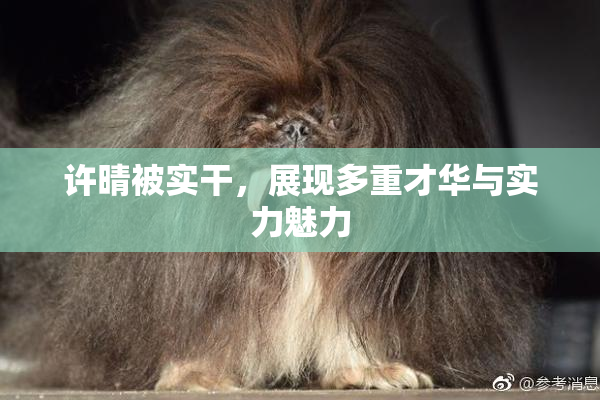 许晴被实干，展现多重才华与实力魅力