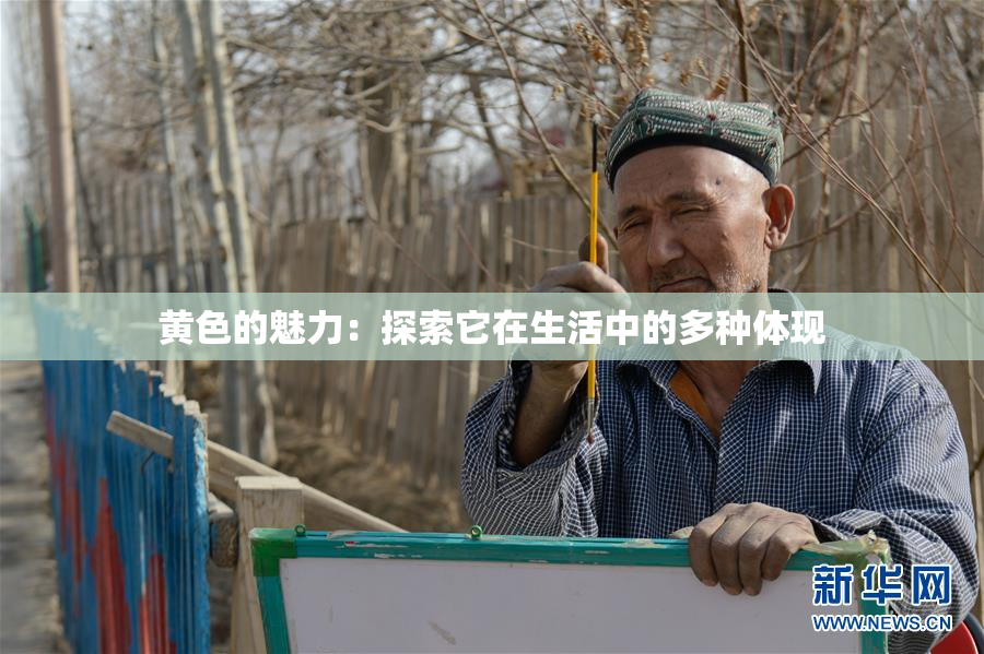 黄色的魅力：探索它在生活中的多种体现