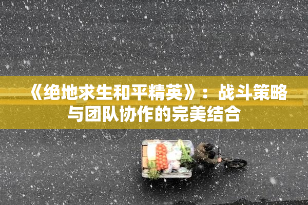 《绝地求生和平精英》：战斗策略与团队协作的完美结合