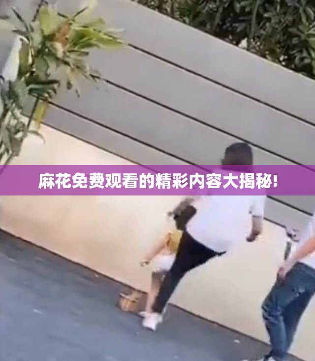 麻花免费观看的精彩内容大揭秘!