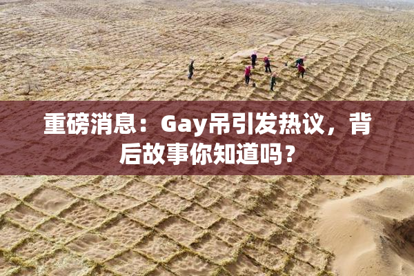 重磅消息：Gay吊引发热议，背后故事你知道吗？