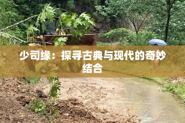 少司缘：探寻古典与现代的奇妙结合