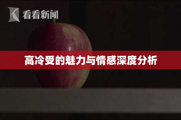 高冷受的魅力与情感深度分析