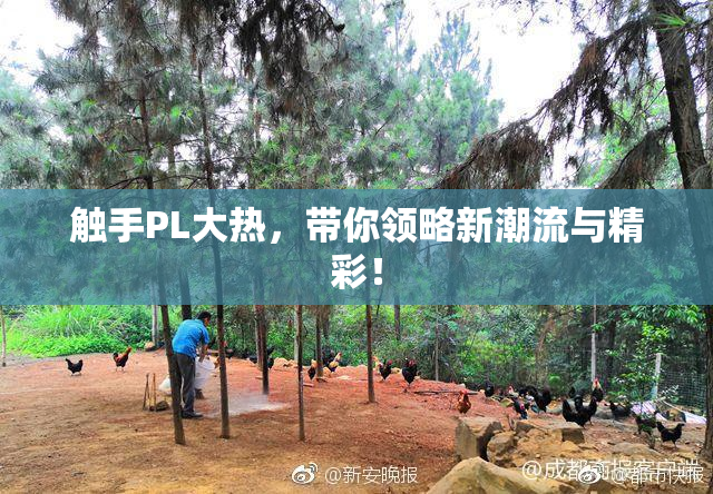 触手PL大热，带你领略新潮流与精彩！