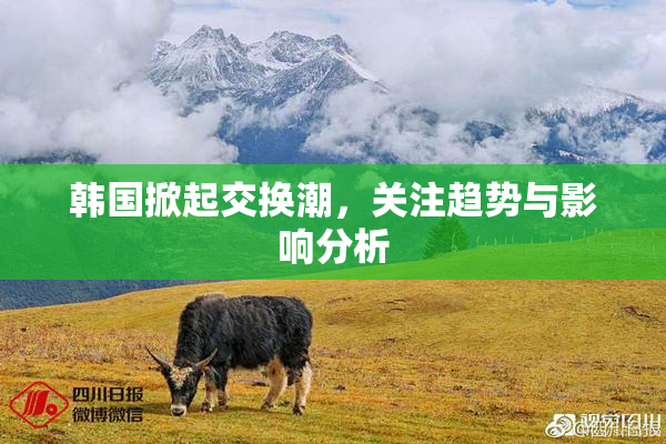 韩国掀起交换潮，关注趋势与影响分析