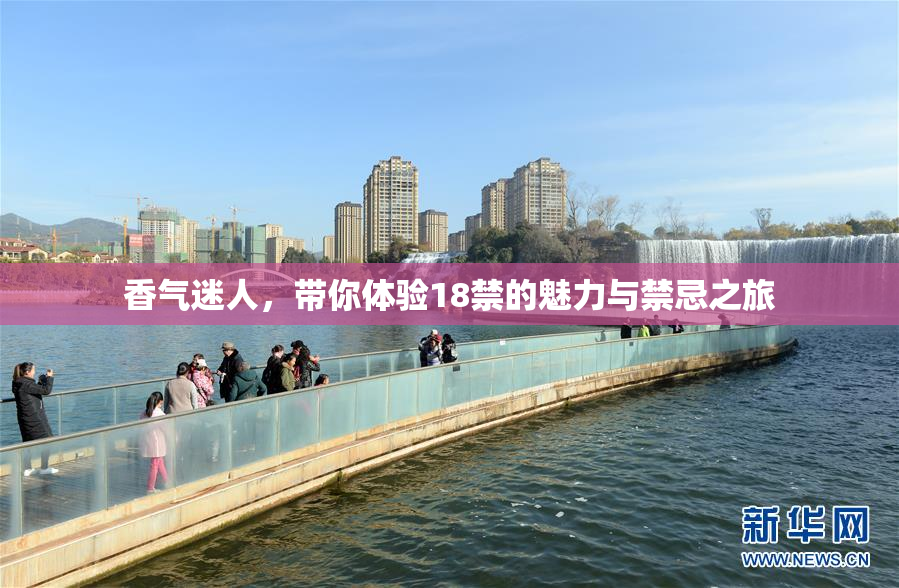 香气迷人，带你体验18禁的魅力与禁忌之旅
