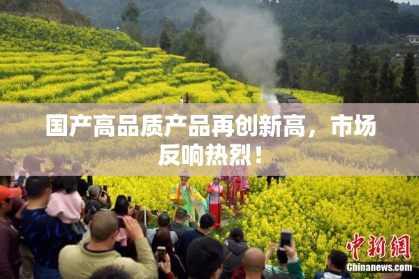 国产高品质产品再创新高，市场反响热烈！