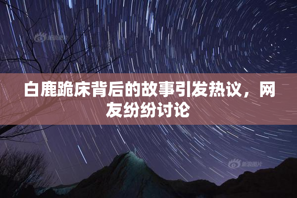白鹿跪床背后的故事引发热议，网友纷纷讨论