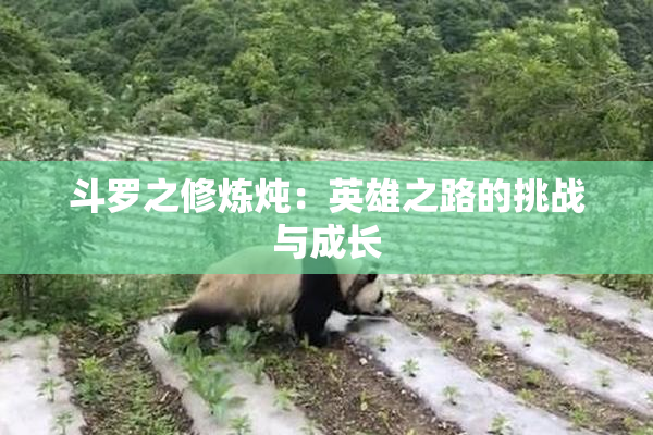 斗罗之修炼炖：英雄之路的挑战与成长