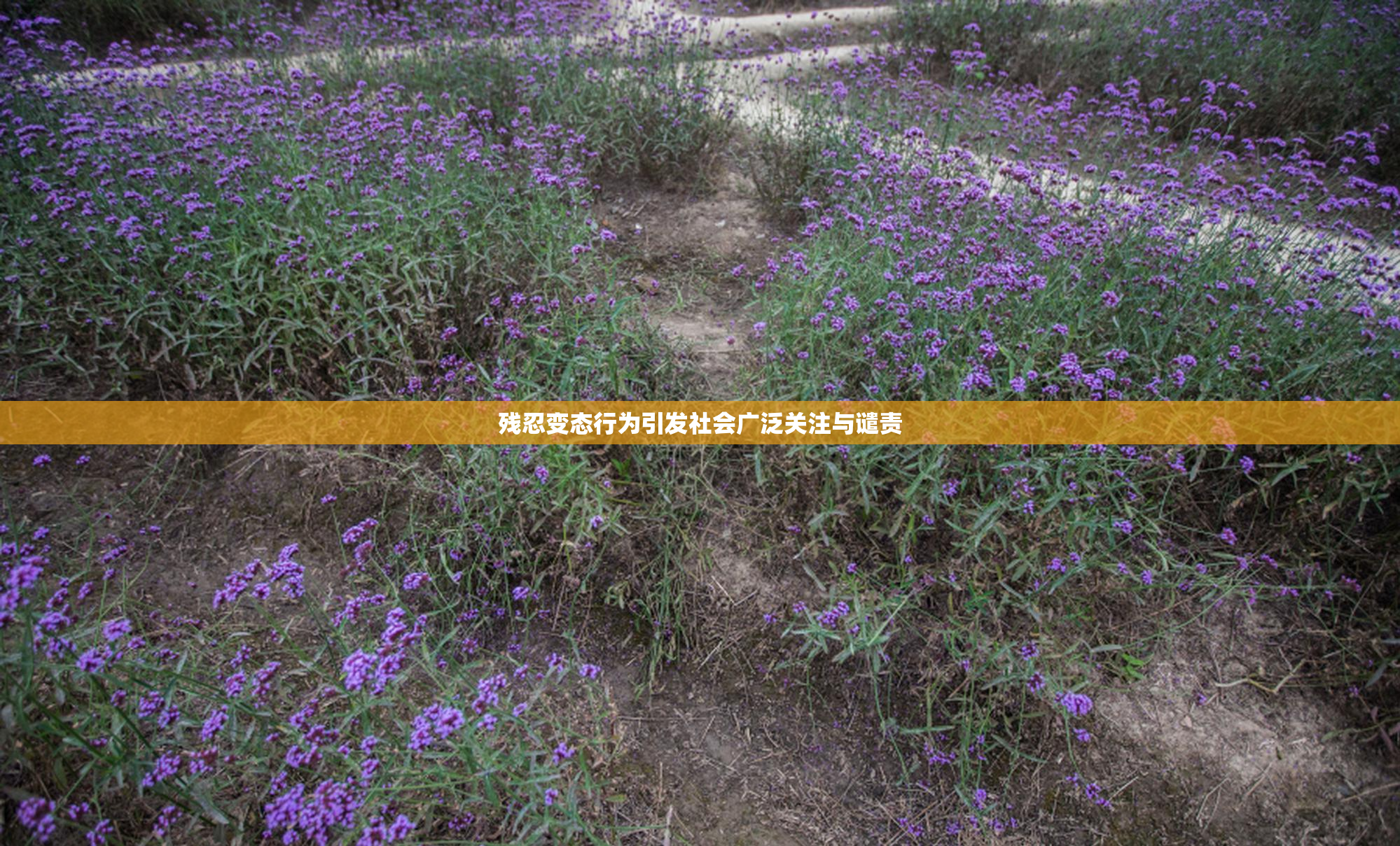 残忍变态行为引发社会广泛关注与谴责