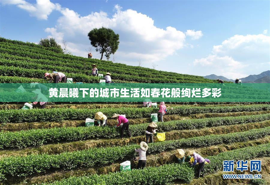 黄晨曦下的城市生活如春花般绚烂多彩