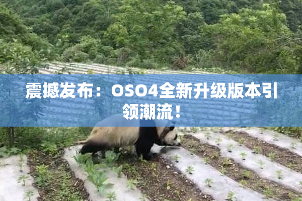 震撼发布：OSO4全新升级版本引领潮流！