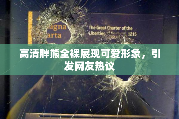 高清胖熊全裸展现可爱形象，引发网友热议