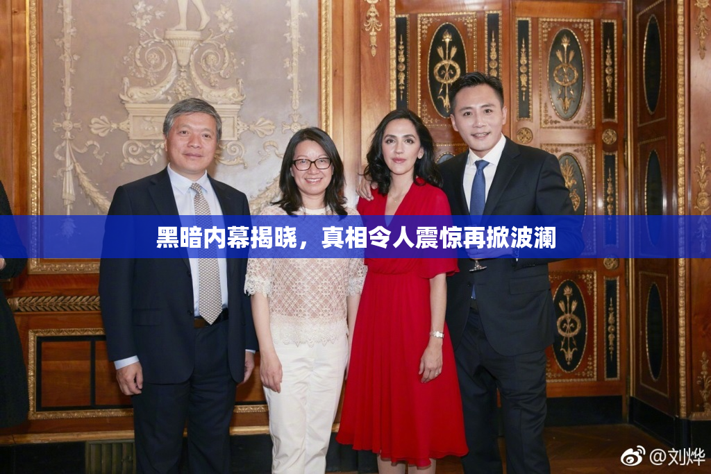 黑暗内幕揭晓，真相令人震惊再掀波澜