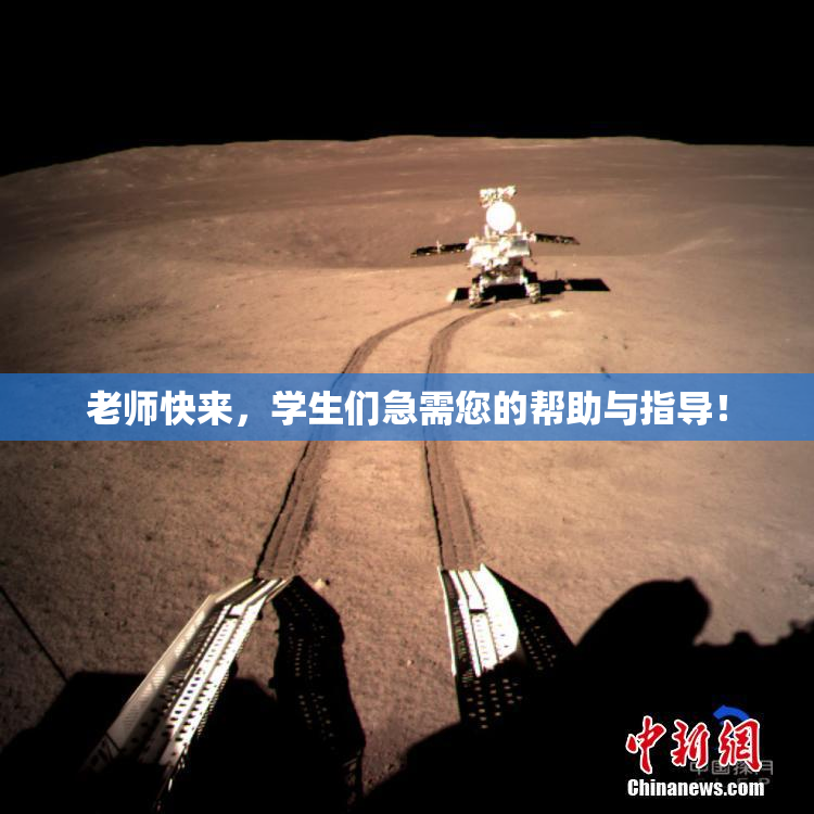 老师快来，学生们急需您的帮助与指导！