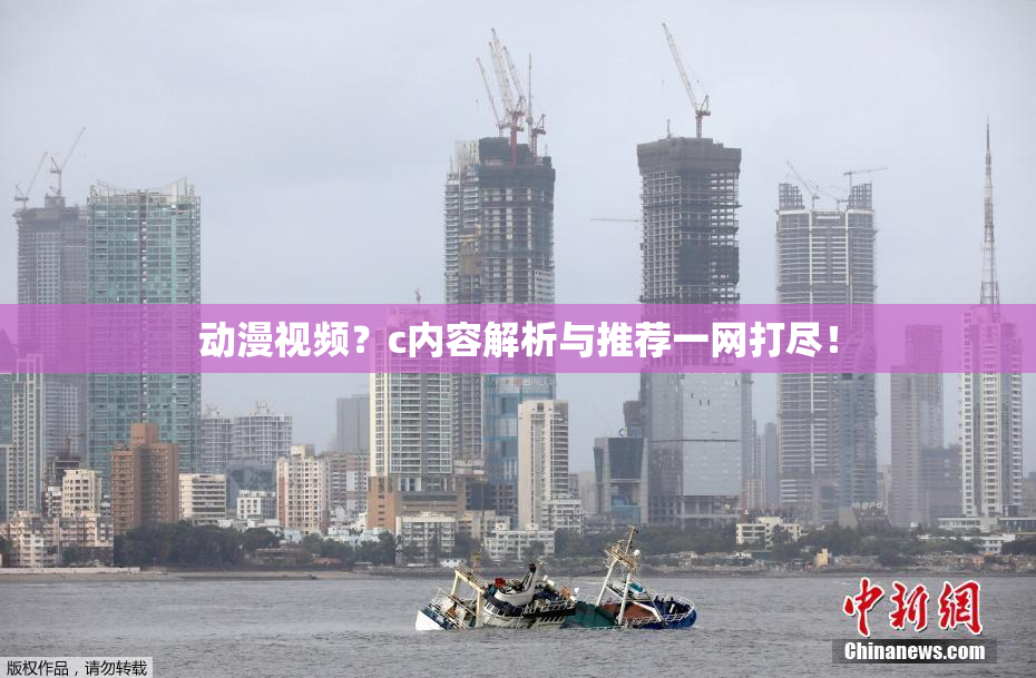 动漫视频？c内容解析与推荐一网打尽！