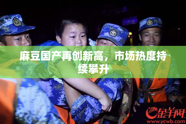麻豆国产再创新高，市场热度持续攀升