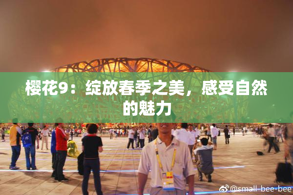 樱花9：绽放春季之美，感受自然的魅力