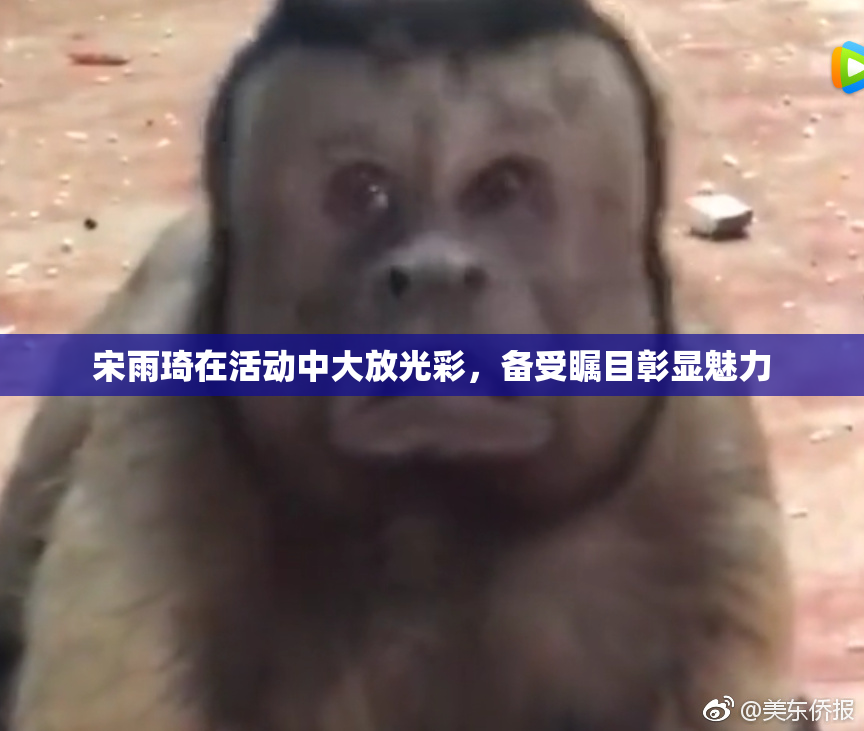 宋雨琦在活动中大放光彩，备受瞩目彰显魅力
