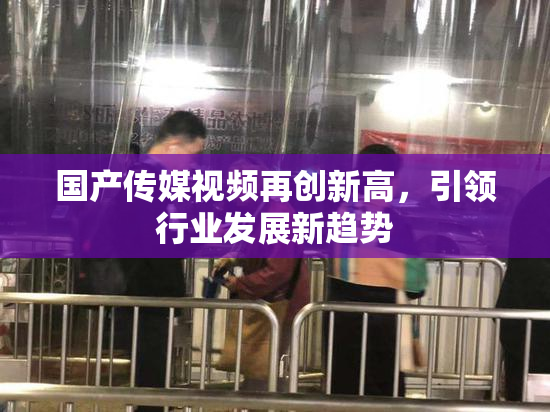 国产传媒视频再创新高，引领行业发展新趋势