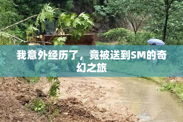 我意外经历了，竟被送到SM的奇幻之旅