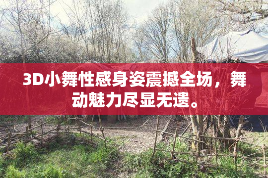 3D小舞性感身姿震撼全场，舞动魅力尽显无遗。