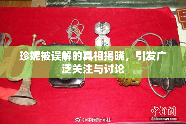 珍妮被误解的真相揭晓，引发广泛关注与讨论