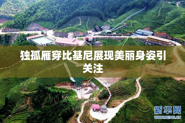 独孤雁穿比基尼展现美丽身姿引关注