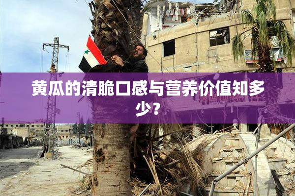 黄瓜的清脆口感与营养价值知多少？