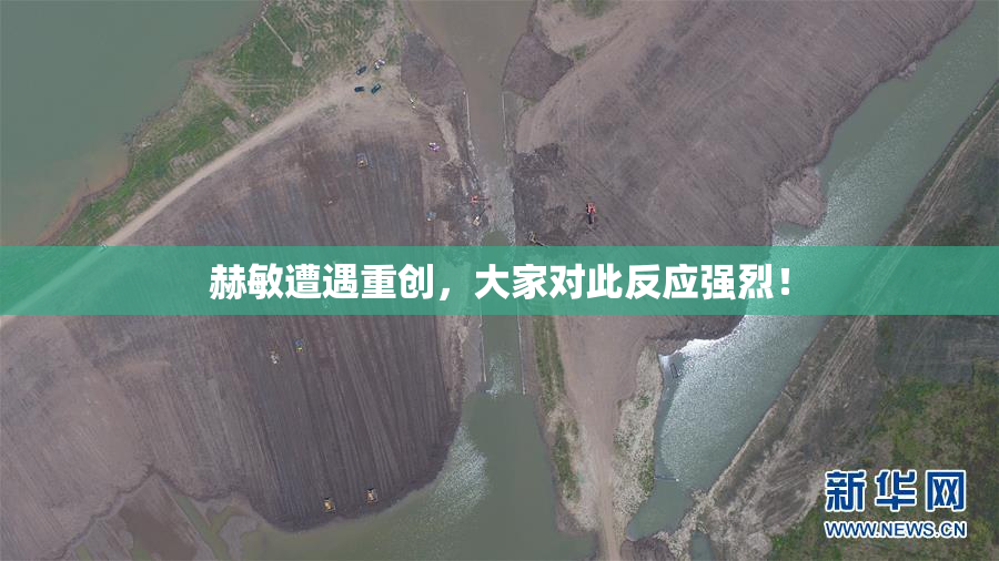 赫敏遭遇重创，大家对此反应强烈！
