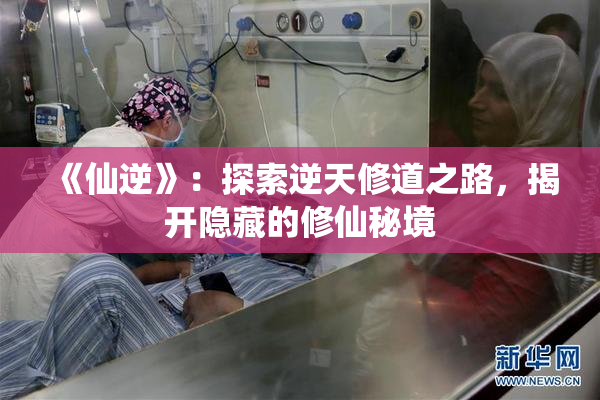 《仙逆》：探索逆天修道之路，揭开隐藏的修仙秘境