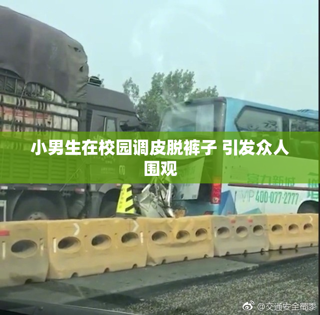 小男生在校园调皮脱裤子 引发众人围观