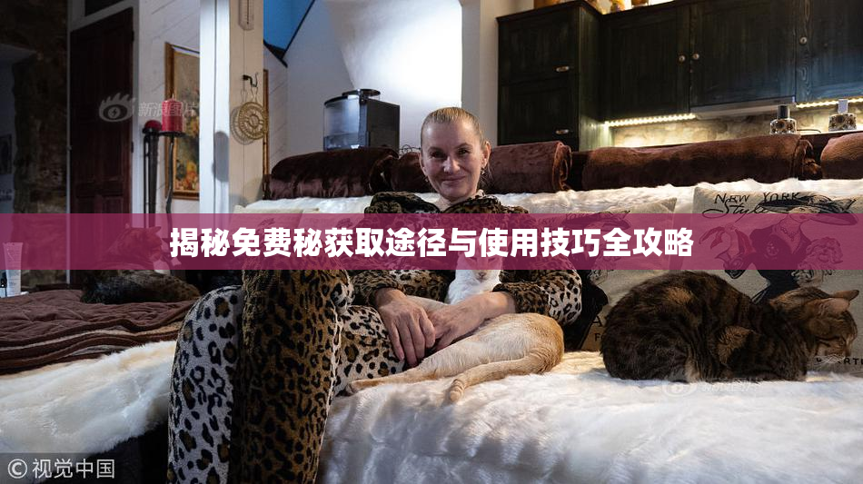 揭秘免费秘获取途径与使用技巧全攻略