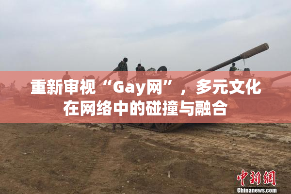 重新审视“Gay网”，多元文化在网络中的碰撞与融合