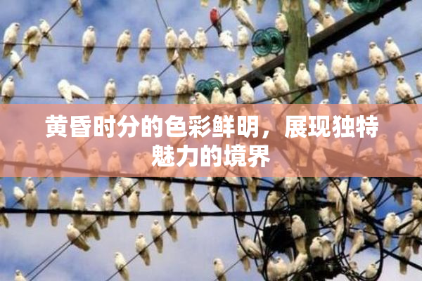 黄昏时分的色彩鲜明，展现独特魅力的境界